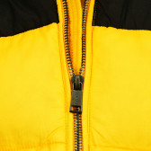 Подплатено яке с качулка в жълто и черно Guess 182170 3