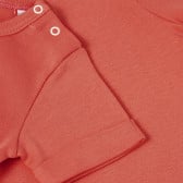 Памучна тениска с подгъв на ръкавите и принт за бебе в коралов цвят PIPPO&PEPPA 185950 4