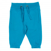 Памучни панталони с ластик в края на крачолите за бебе за момче сини Cool club 188892 