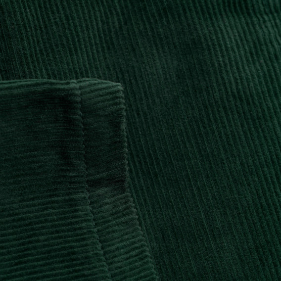 Памучен къс панталон за бебе за момче зелен Neck & Neck 192716 3