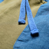 Памучни къси панталони за момче с цветни пръски и с два пришити джоба COSY REBELS 19410 3