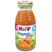 Био сок от ябълки и моркови, 3-5 месеца, стъклена бутилка 200 мл. Hipp 19637 