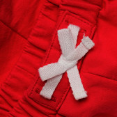 Памучен панталон за бебе за момче червен Original Marines 198455 4