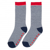 Чорапи в синьо и бяло за момче Z Generation 204119 