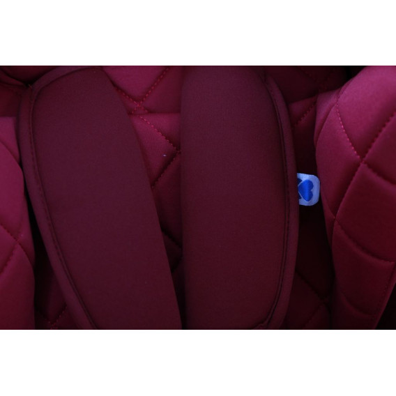 Стол за кола 1-2-3 (9-36кг) Viaggio Raspberry + Isofix Kikkaboo 204989 6