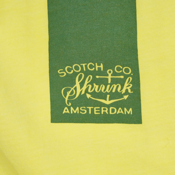 Памучна тениска за момче зелена Scotch Shrunk 205694 2