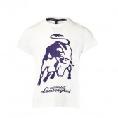 Памучна тениска с щампа на бик и надпис за момче, бяла Lamborghini 20855 