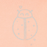 Плетен памучен пуловер с къдрички на рамената за бебе ZY 208932 2