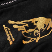 Памучен спортен комплект с емблема на марката за момче, черен Lamborghini 20964 4