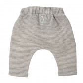 Памучен панталон за бебе на райета Benetton 213090 4