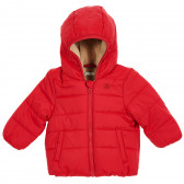 Зимно яке с подплата за бебе с бродирано лого на марката, червено Benetton 213552 