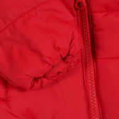 Зимно яке с подплата за бебе с бродирано лого на марката, червено Benetton 213554 3