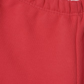 Памучен панталон с плюшени апликации за бебе, червен Benetton 213744 2