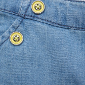 Къс панталон с копчета и ластик за бебе  214613 2