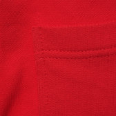 Памучен спортен панталон , червен Benetton 214668 3