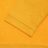 Памучна блуза с надпис Competition за бебе, оранжева Benetton 221177 3