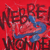 Памучна блуза с щампа на Spiderman за бебе, червена Benetton 221368 2