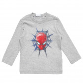 Памучна блуза с щампа на Spiderman, сива Benetton 221371 