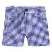 Памучни къси панталони в синьо бяло каре Benetton 221914 