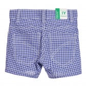 Памучни къси панталони в синьо бяло каре Benetton 221916 3