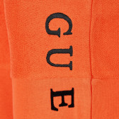 Памучни къси панталони, оранжеви Guess 224350 2