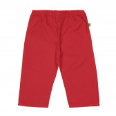 Памучени панталони червени Benetton 226403 3