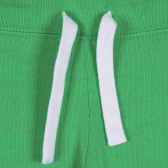 Памучен панталон с логото на бранда за бебе, зелен Benetton 228929 2