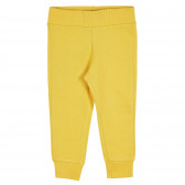 Памучен спортен панталон за бебе, жълт Benetton 228952 