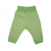 Панталон за бебе - унисекс в зелен цвят на райе Boboli 22969 2