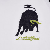 Памучна тениска с емблемата на марката и контрастни ръкави Lamborghini 230205 2