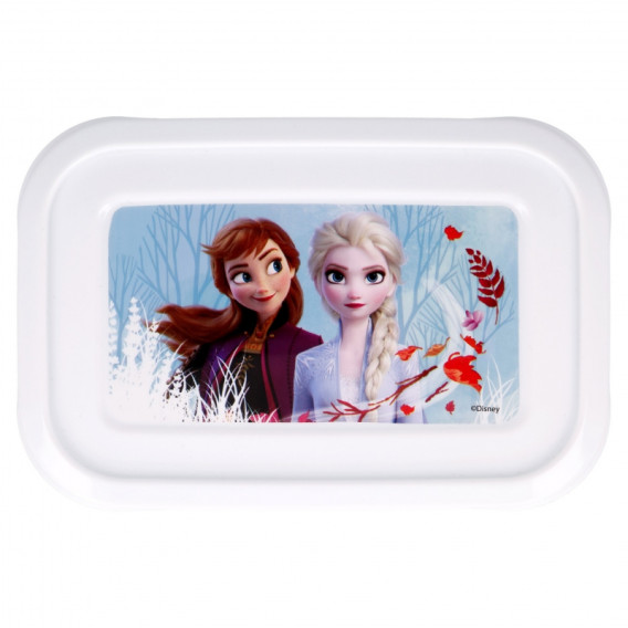 Комплект 3 бр. кутии за храна за момиче, Замръзналото кралство Frozen 230484 2
