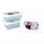 Комплект 3 бр. кутии за храна за момиче, Замръзналото кралство Frozen 230486 