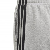 Къси панталони Essentials, сиви Adidas 230990 3