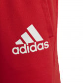 Къси панталони Essentials, червени Adidas 231009 5