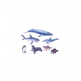 Комплект морски животни, 7 броя, set 9 Amaya 231060 