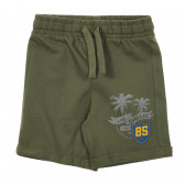 Памучни къси панталони с щампа на палми, тъмно зелени Benetton 232897 