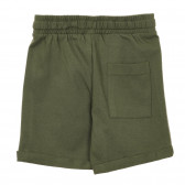 Памучни къси панталони с щампа на палми, тъмно зелени Benetton 232899 3