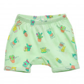 Памучен къс панталон с принт за бебе, ментов цвят Benetton 234259 