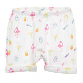 Памучен къс панталон с фламинго за бебе, бял Benetton 234271 