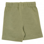 Памучен комплект тениска и къси панталони в сиво и зелено Benetton 237095 7