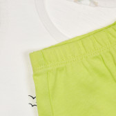 Памучен комплект тениска и къси панталонки за бебе в бяло и зелено Benetton 237216 3