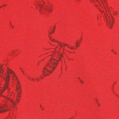 Памучна тениска с принт на животни, червена Idexe 239437 2