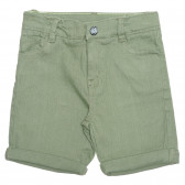 Памучни къси дънкови панталони, зелени Idexe 239513 