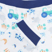Памучен панталон с графичен принт за бебе, бял Idexe 239523 3