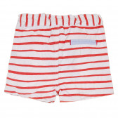 Памучен къс панталон за бебе бяло-червено райе Idexe 239590 4