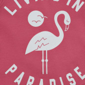 Тениска с щампа на фламинго и надпис, розова Acar 240965 4