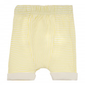 Панталонки с ластик в талия и подвити краища за бебе  241367 