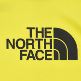 Памучна тениска с логото на бранда, зелена The North Face 243612 3