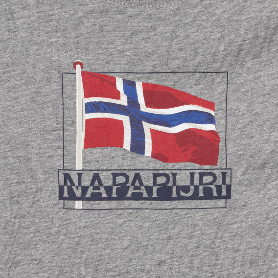 Памучна тениска с логото на бранда, сива Napapijri 243702 3