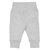 Памучни панталони за бебе, сиви Pinokio 243943 2